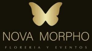 Nova Morpho