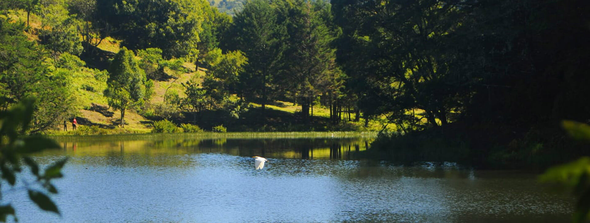 Destino Fotos Bodas Costa RIca