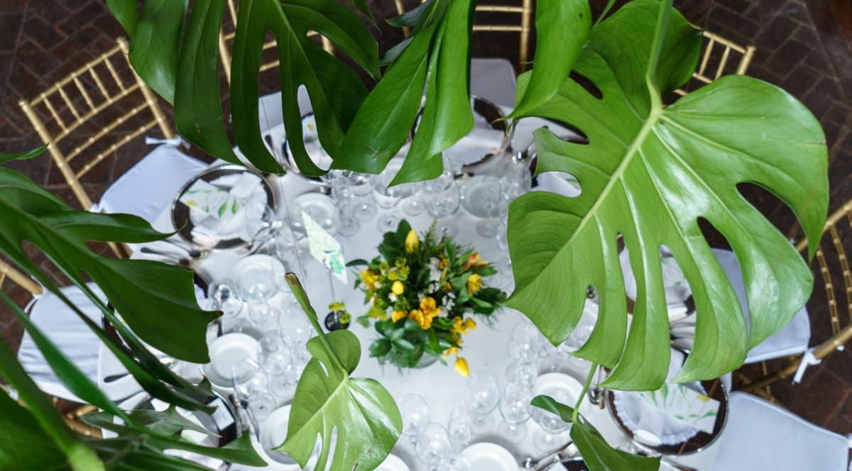 Flores tropicales bodas Costa Rica